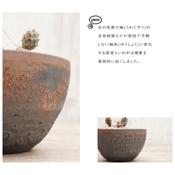 陶器鉢 植木鉢 5号 クレーターポット φ15cm 中深丸 ゴールド/ブラック おしゃれ プランター 園芸鉢 信楽焼 かみ山陶器 観葉植物 アガベ サボテン ビザールプランツ 塊根植物 コーデックス 多肉植物 ポット