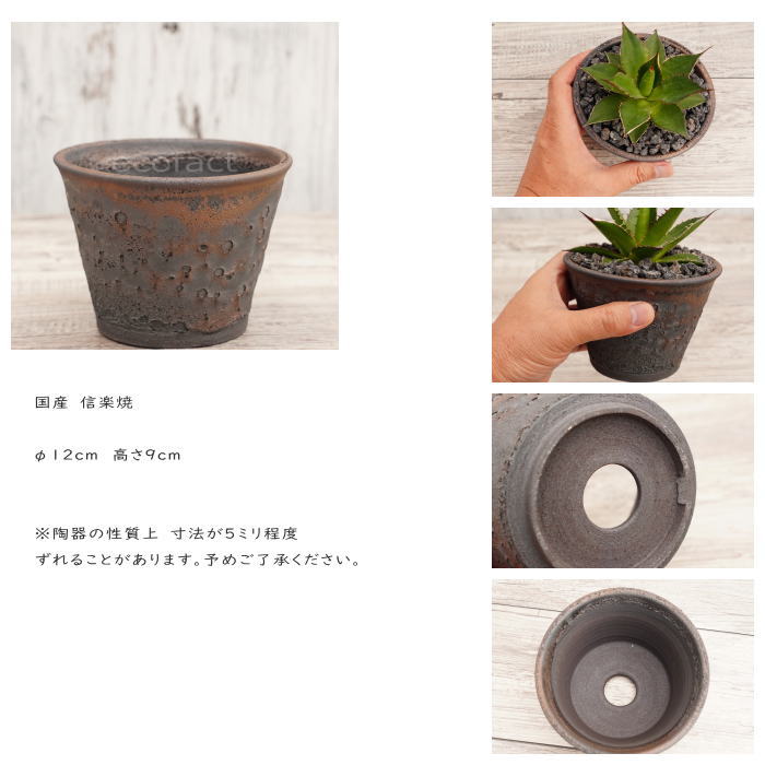 陶器鉢 植木鉢 4号 クレーターポット φ12.5cm 中深丸 ゴールド/ブラック おしゃれ プランター 園芸鉢 信楽焼 かみ山陶器 観葉植物 アガベ サボテン ビザールプランツ 塊根植物 コーデックス 多肉植物 ポット