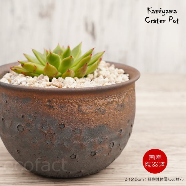 陶器鉢 植木鉢 4号 クレーターポット φ12.5cm 中深丸 ゴールド/ブラック おしゃれ プランター 園芸鉢 信楽焼 かみ山陶器 観葉植物 アガベ サボテン ビザールプランツ 塊根植物 コーデックス 多肉植物 ポット