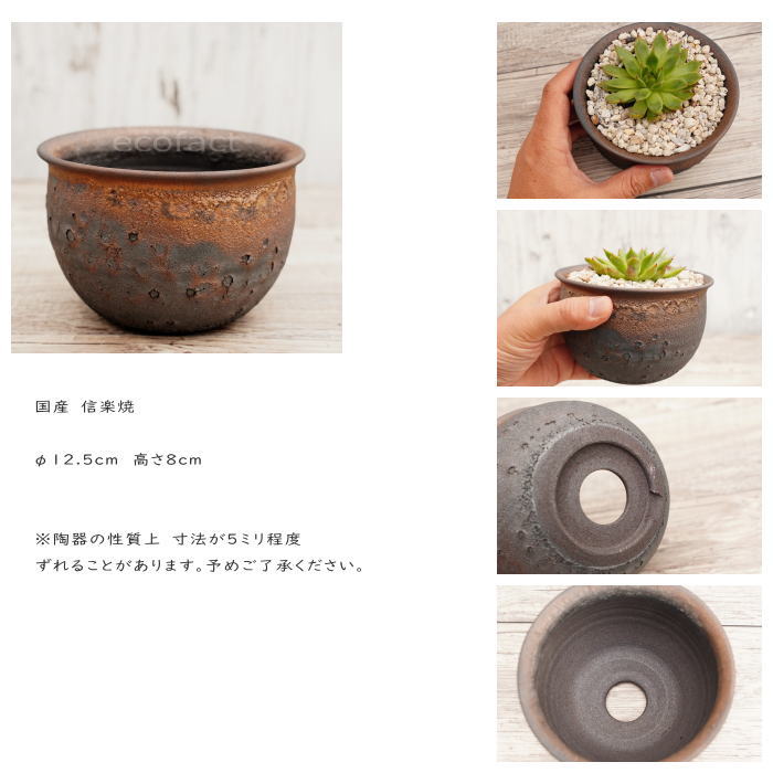 陶器鉢 植木鉢 4号 クレーターポット φ12.5cm 中深丸 ゴールド/ブラック おしゃれ プランター 園芸鉢 信楽焼 かみ山陶器 観葉植物 アガベ サボテン ビザールプランツ 塊根植物 コーデックス 多肉植物 ポット