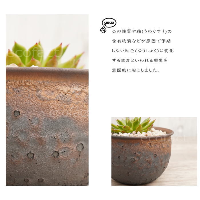 陶器鉢 植木鉢 4号 クレーターポット φ12.5cm 中深丸 ゴールド/ブラック おしゃれ プランター 園芸鉢 信楽焼 かみ山陶器 観葉植物 アガベ サボテン ビザールプランツ 塊根植物 コーデックス 多肉植物 ポット