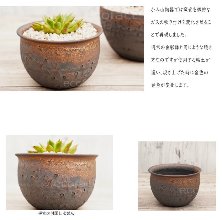 陶器鉢 植木鉢 4号 クレーターポット φ12.5cm 中深丸 ゴールド/ブラック おしゃれ プランター 園芸鉢 信楽焼 かみ山陶器 観葉植物 アガベ サボテン ビザールプランツ 塊根植物 コーデックス 多肉植物 ポット