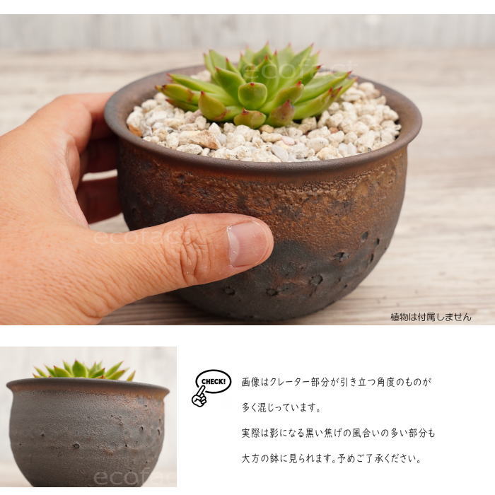 陶器鉢 植木鉢 4号 クレーターポット φ12.5cm 中深丸 ゴールド/ブラック おしゃれ プランター 園芸鉢 信楽焼 かみ山陶器 観葉植物 アガベ サボテン ビザールプランツ 塊根植物 コーデックス 多肉植物 ポット