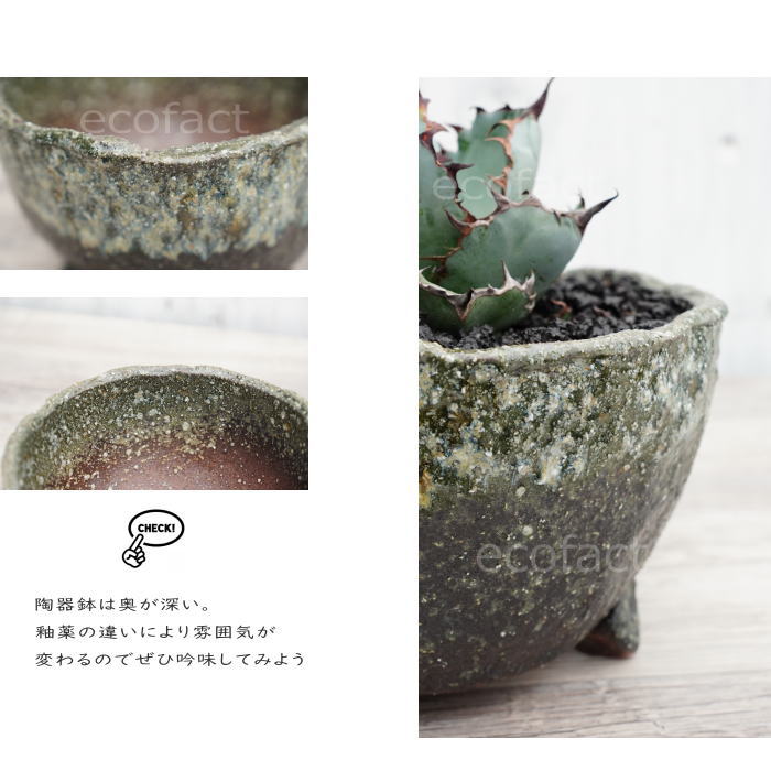 陶器鉢 植木鉢 φ18.5cm 青窯変脚付 ブルー系 おしゃれ プランター 園芸鉢 かみ山陶器 信楽焼 観葉植物 アガベ サボテン ビザールプランツ 塊根植物 コーデックス 多肉植物 ポット