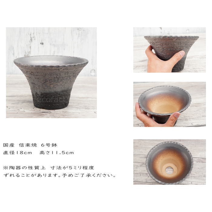 陶器鉢 植木鉢 6号 銀彩ソリ型 シルバー系 おしゃれ プランター 園芸鉢 かみ山陶器 信楽焼 観葉植物 アガベ サボテン ビザールプランツ 塊根植物 コーデックス 多肉植物 ポット