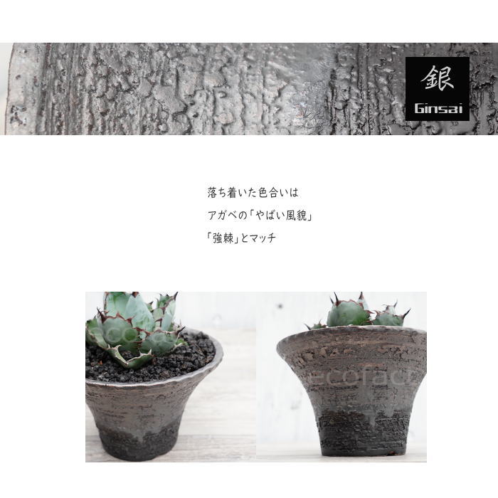 陶器鉢 植木鉢 6号 銀彩ソリ型 シルバー系 おしゃれ プランター 園芸鉢 かみ山陶器 信楽焼 観葉植物 アガベ サボテン ビザールプランツ 塊根植物 コーデックス 多肉植物 ポット