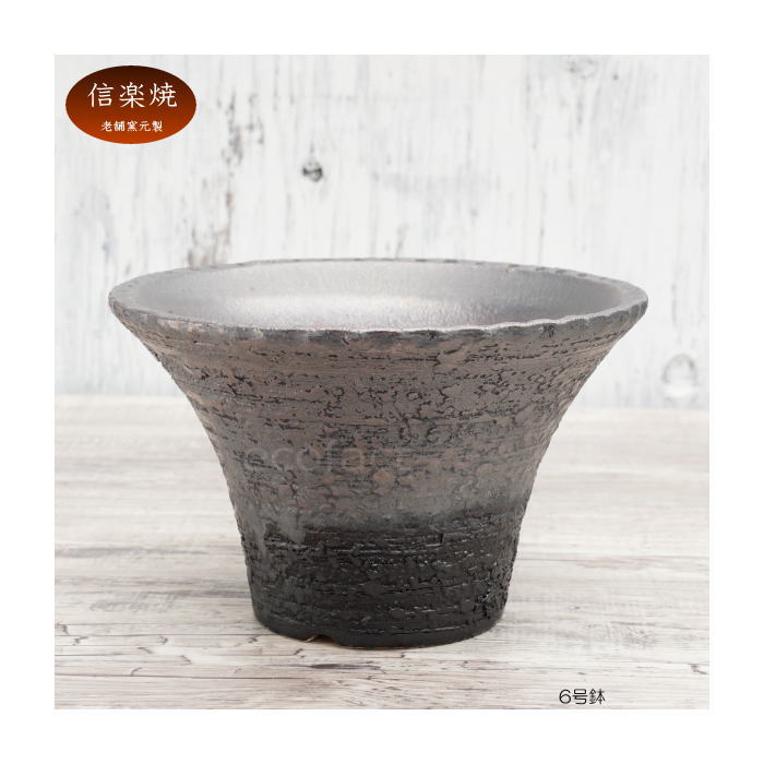 陶器鉢 植木鉢 6号 銀彩ソリ型 シルバー系 おしゃれ プランター 園芸鉢 かみ山陶器 信楽焼 観葉植物 アガベ サボテン ビザールプランツ 塊根植物 コーデックス 多肉植物 ポット