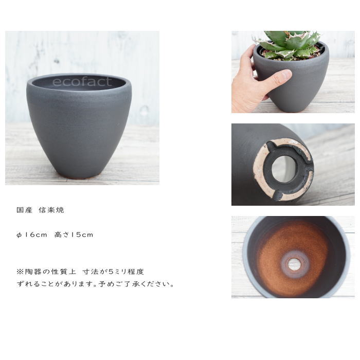 陶器鉢 植木鉢 小鉢 底穴あり MATPOT マットポット ブラック 艶消し黒 φ16cm おしゃれ プランター 園芸鉢 信楽焼(しがらきやき)かみ山陶器 コーデックス 塊根植物