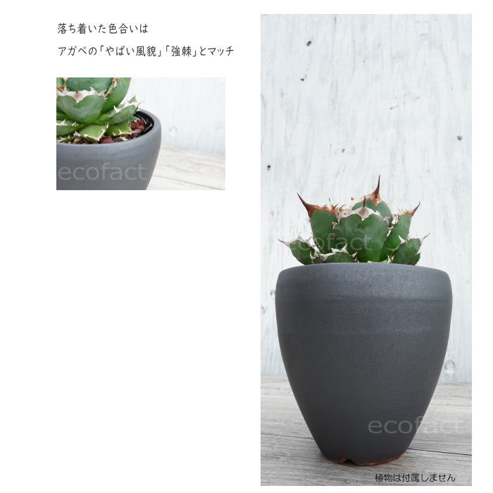 陶器鉢 植木鉢 小鉢 底穴あり MATPOT マットポット ブラック 艶消し黒 φ16cm おしゃれ プランター 園芸鉢 信楽焼(しがらきやき)かみ山陶器 コーデックス 塊根植物
