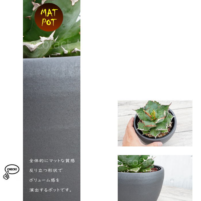 陶器鉢 植木鉢 小鉢 底穴あり MATPOT マットポット ブラック 艶消し黒 φ16cm おしゃれ プランター 園芸鉢 信楽焼(しがらきやき)かみ山陶器 コーデックス 塊根植物