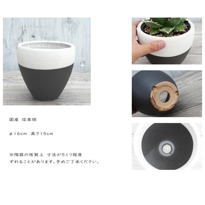 陶器鉢 植木鉢 小鉢 底穴あり MATPOT マットポット ホワイト/ブラック 艶消し白黒 φ16cm おしゃれ プランター 園芸鉢 信楽焼(しがらきやき)かみ山陶器 コーデックス 塊根植物