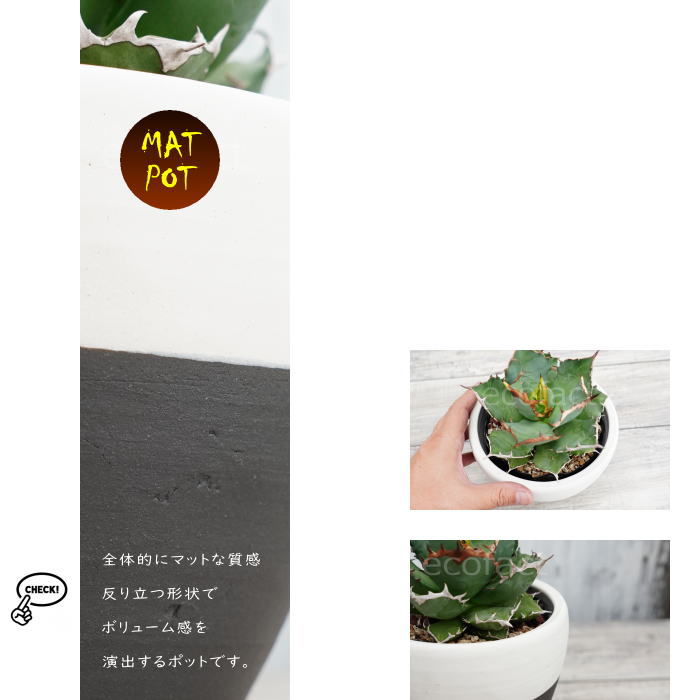 陶器鉢 植木鉢 小鉢 底穴あり MATPOT マットポット ホワイト/ブラック 艶消し白黒 φ16cm おしゃれ プランター 園芸鉢 信楽焼(しがらきやき)かみ山陶器 コーデックス 塊根植物