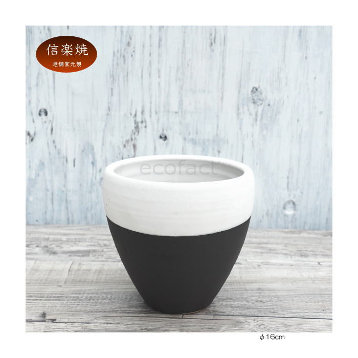 陶器鉢 植木鉢 小鉢 底穴あり MATPOT マットポット ホワイト/ブラック 艶消し白黒 φ16cm おしゃれ プランター 園芸鉢 信楽焼(しがらきやき)かみ山陶器 コーデックス 塊根植物