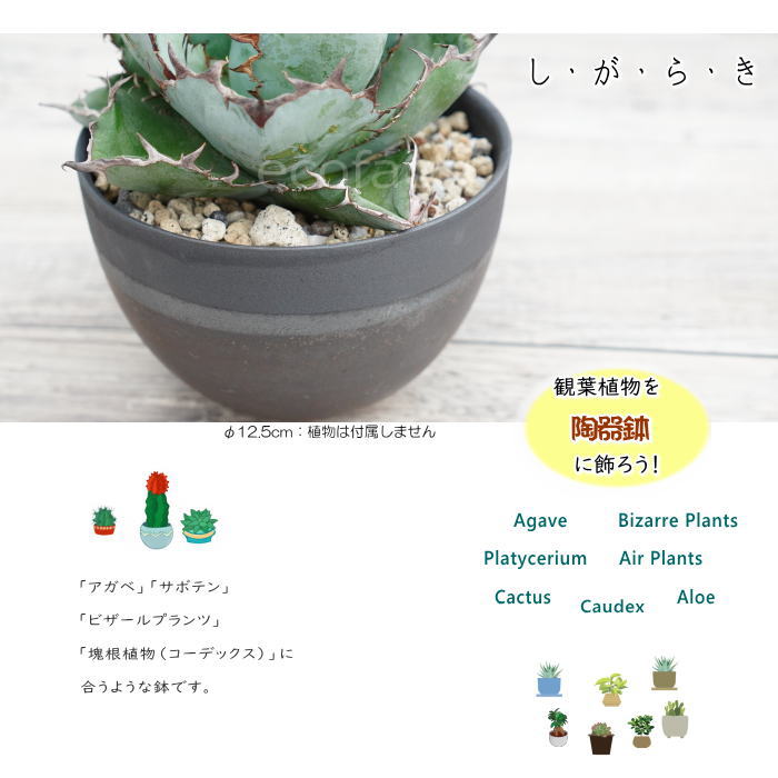陶器鉢 植木鉢 小鉢 底穴あり マットブラック丸 焦がし金 艶消し黒 φ12.5cm おしゃれ プランター 園芸鉢 信楽焼(しがらきやき)かみ山陶器 サボテンポット