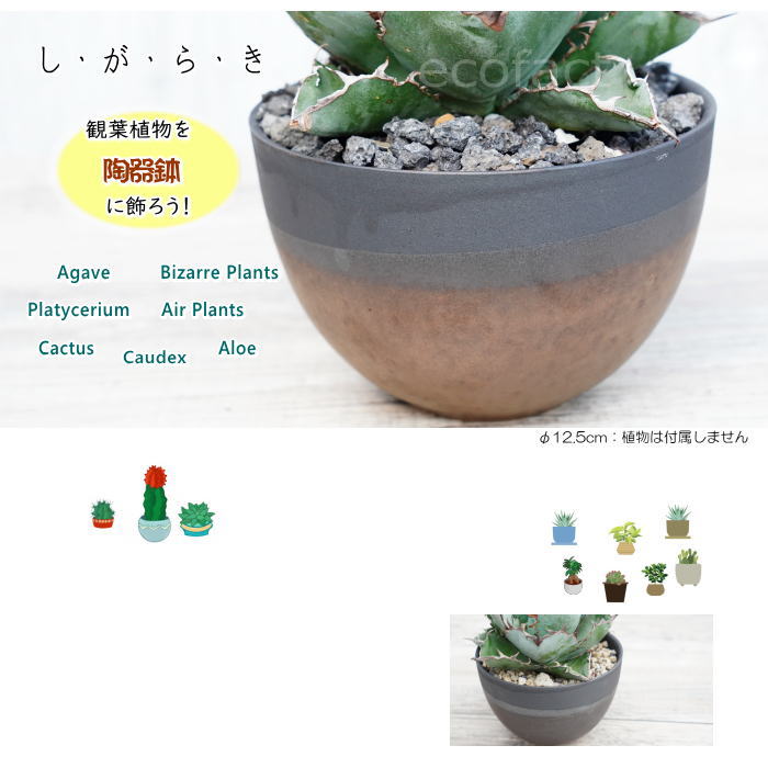 陶器鉢 植木鉢 小鉢 底穴あり マットブラック丸 焦がし金 艶消し黒 φ12.5cm おしゃれ プランター 園芸鉢 信楽焼(しがらきやき)かみ山陶器 サボテンポット