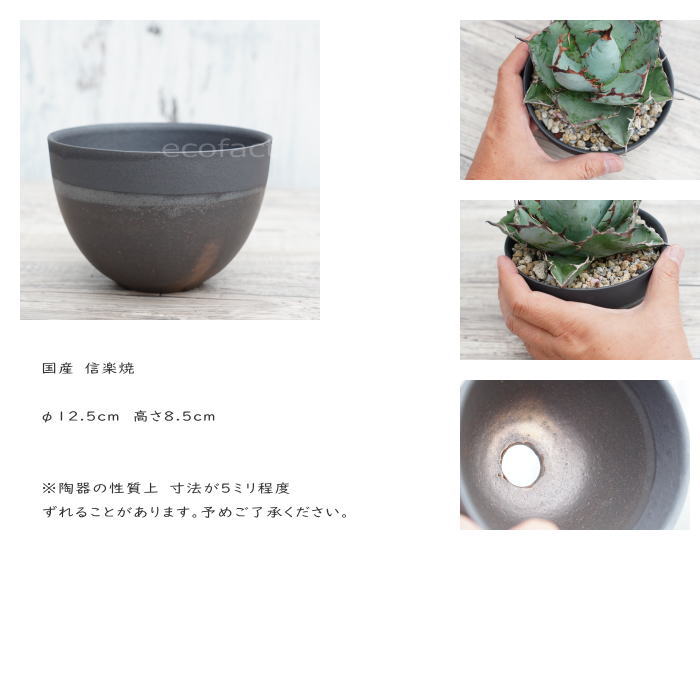 陶器鉢 植木鉢 小鉢 底穴あり マットブラック丸 焦がし金 艶消し黒 φ12.5cm おしゃれ プランター 園芸鉢 信楽焼(しがらきやき)かみ山陶器 サボテンポット
