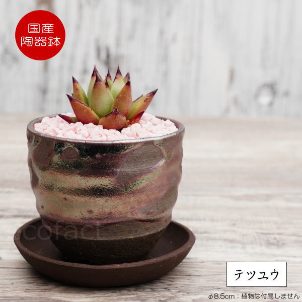 陶器鉢 植木鉢 小鉢 底穴あり 鉄釉丸(ガンメタ)φ8.5cm 受皿付き おしゃれ プランター 園芸鉢 信楽焼(しがらきやき)かみ山陶器 コーデックス 塊根植物