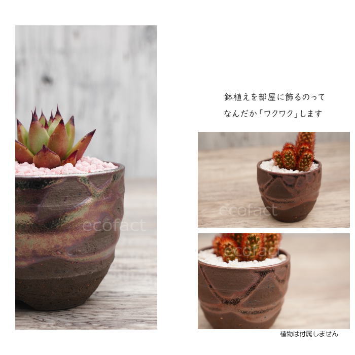 陶器鉢 植木鉢 小鉢 底穴あり 鉄釉丸(ガンメタ)φ8.5cm 受皿付き おしゃれ プランター 園芸鉢 信楽焼(しがらきやき)かみ山陶器 コーデックス 塊根植物