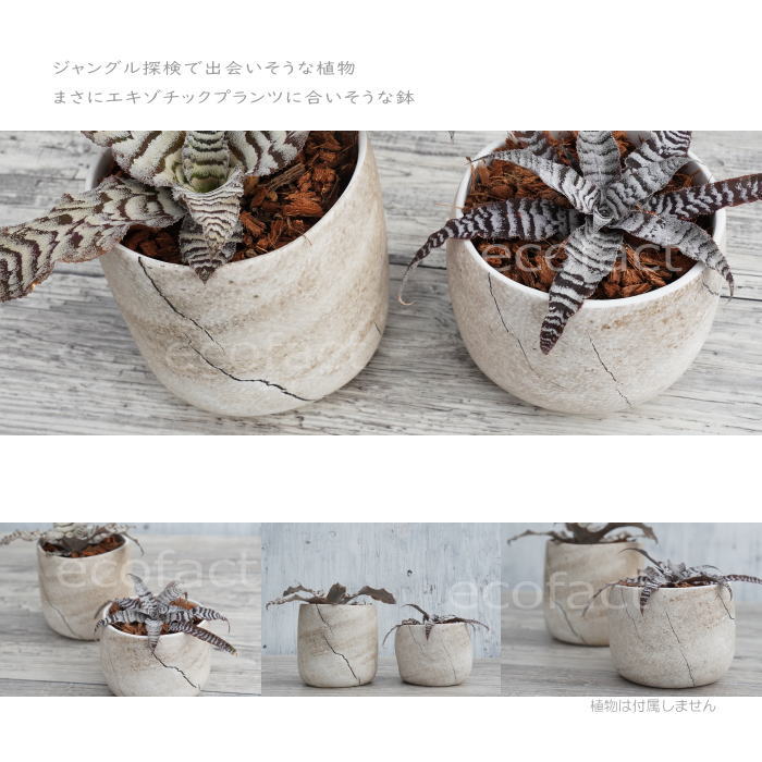 フラワーポット植木鉢 おしゃれ 陶器鉢 ミニポット 底穴あり ボルカハイ ストーン φ11cm (10cm) プランター 園芸鉢 観葉植物 多肉植物 熱帯植物 エキゾチックプランツ