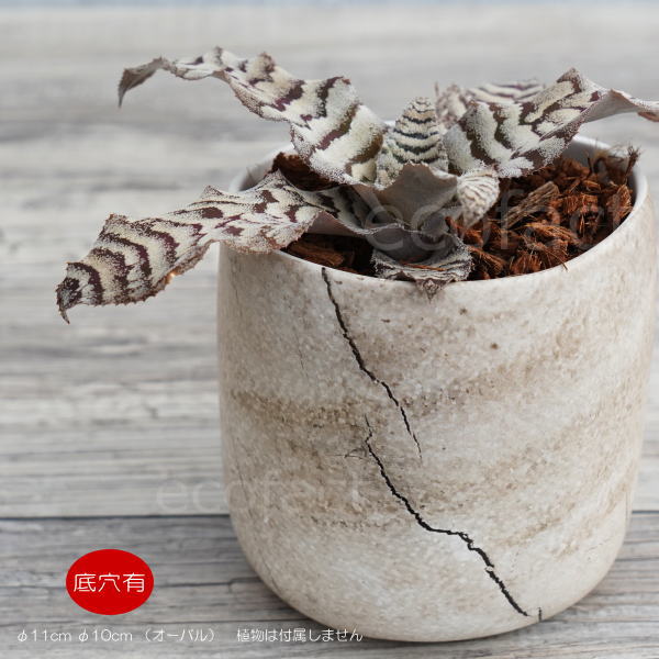 フラワーポット植木鉢 おしゃれ 陶器鉢 ミニポット 底穴あり ボルカハイ ストーン φ11cm (10cm) プランター 園芸鉢 観葉植物 多肉植物 熱帯植物 エキゾチックプランツ