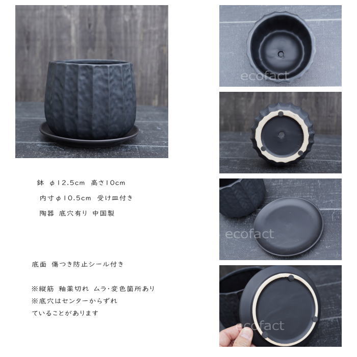 フラワーポット 植木鉢 おしゃれ 陶器鉢 ミニポット リベロ 黒マットM 星口絞り型 φ12.5cm プランター 園芸鉢 観葉植物 多肉植物 熱帯植物 エキゾチックプランツ アグラオネマ カラテア