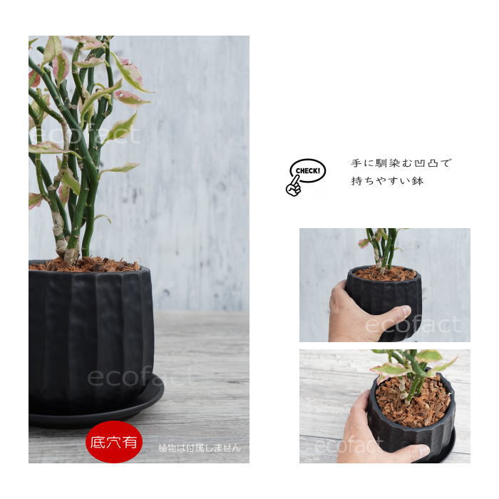 フラワーポット 植木鉢 おしゃれ 陶器鉢 ミニポット リベロ 黒マットM 星口絞り型 φ12.5cm プランター 園芸鉢 観葉植物 多肉植物 熱帯植物 エキゾチックプランツ アグラオネマ カラテア