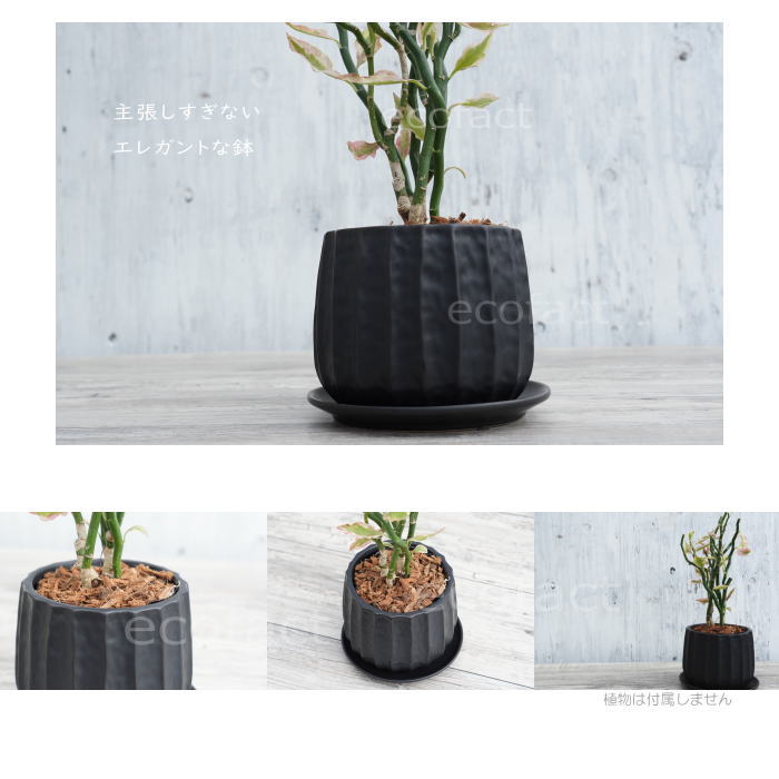 フラワーポット 植木鉢 おしゃれ 陶器鉢 ミニポット リベロ 黒マットM 星口絞り型 φ12.5cm プランター 園芸鉢 観葉植物 多肉植物 熱帯植物 エキゾチックプランツ アグラオネマ カラテア