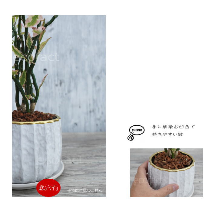 フラワーポット 植木鉢 おしゃれ 陶器鉢 ミニポット リベロ ゴールド 白マットM 星口絞り型 φ12.5cm プランター 園芸鉢 観葉植物 多肉植物 熱帯植物 エキゾチックプランツ アグラオネマ カラテア