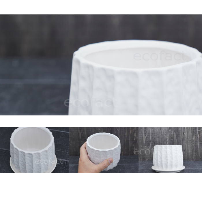 フラワーポット 植木鉢 おしゃれ 陶器鉢 ミニポット リベロ 白 M 星口絞り型 φ12.5cm プランター 園芸鉢 観葉植物 多肉植物 熱帯植物 エキゾチックプランツ アグラオネマ カラテア