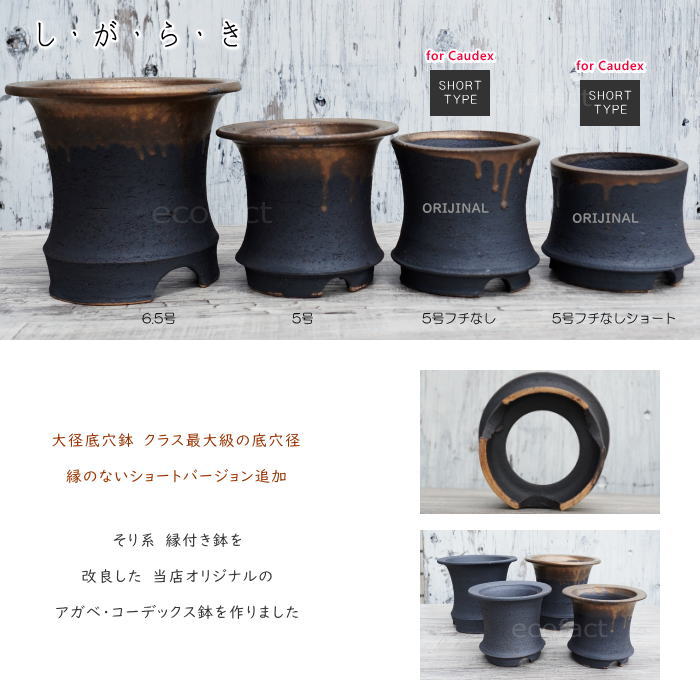 かっこいい 陶器鉢 植木鉢 6.5号 底穴あり サナなし 金彩高脚 ブラック おしゃれ プランター 園芸鉢 信楽焼 かみ山陶器 観葉植物 アガベ サボテン ビザールプランツ 塊根植物 コーデックス 多肉植物 ポット
