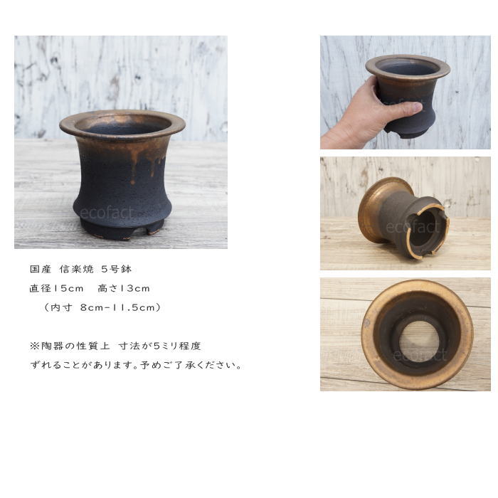 かっこいい 陶器鉢 植木鉢 5号 底穴あり 金彩高脚 ブラック サナ無し おしゃれ プランター 園芸鉢 信楽焼 かみ山陶器 観葉植物 アガベ サボテン ビザールプランツ 塊根植物 コーデックス 多肉植物 ポット