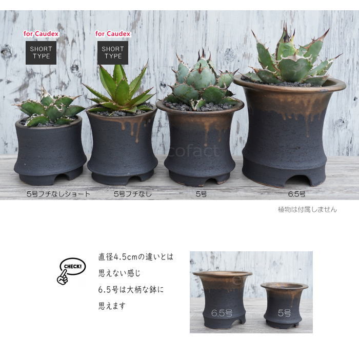 かっこいい 陶器鉢 植木鉢 6.5号 底穴あり サナなし 金彩高脚 ブラック おしゃれ プランター 園芸鉢 信楽焼 かみ山陶器 観葉植物 アガベ サボテン ビザールプランツ 塊根植物 コーデックス 多肉植物 ポット