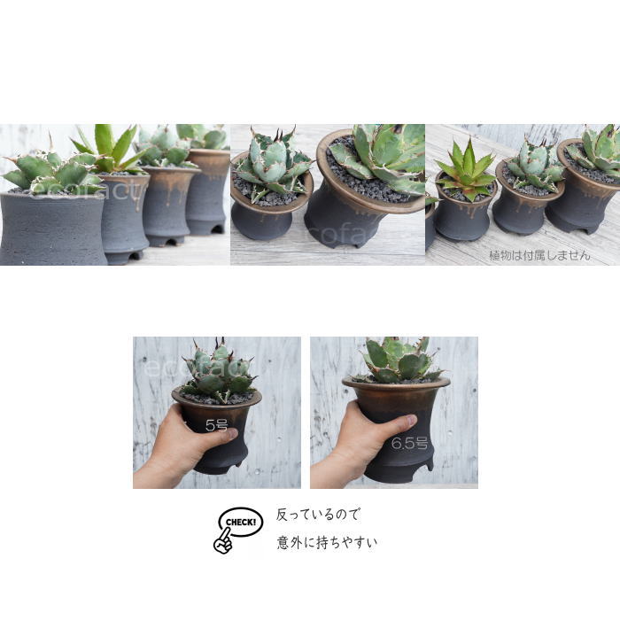 かっこいい 陶器鉢 植木鉢 6.5号 底穴あり サナなし 金彩高脚 ブラック おしゃれ プランター 園芸鉢 信楽焼 かみ山陶器 観葉植物 アガベ サボテン ビザールプランツ 塊根植物 コーデックス 多肉植物 ポット