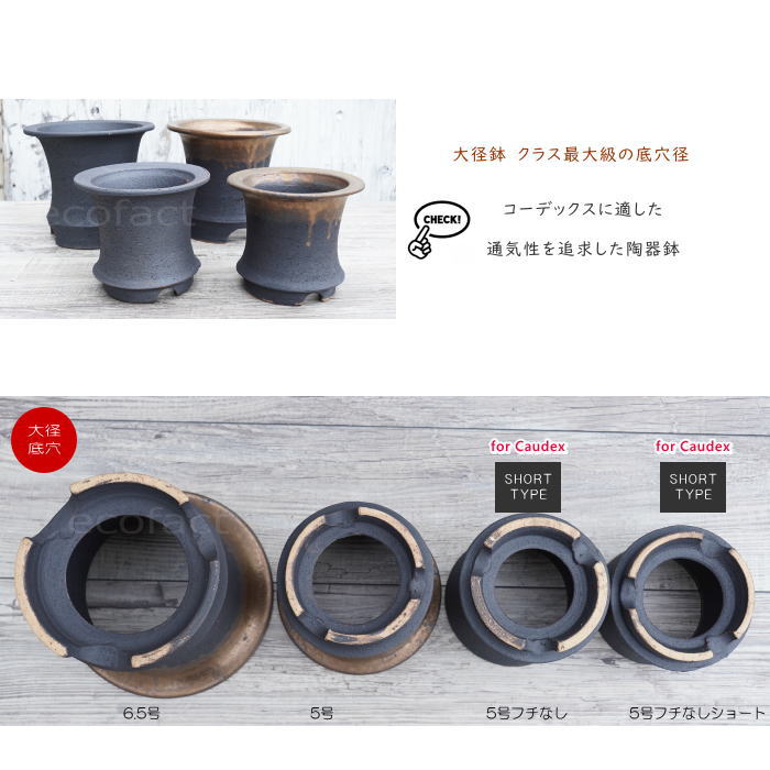 かっこいい 陶器鉢 植木鉢 6.5号 底穴あり サナなし 金彩高脚 ブラック おしゃれ プランター 園芸鉢 信楽焼 かみ山陶器 観葉植物 アガベ サボテン ビザールプランツ 塊根植物 コーデックス 多肉植物 ポット