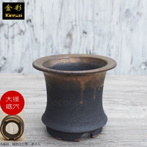 かっこいい 陶器鉢 植木鉢 5号 底穴あり 金彩高脚 ブラック サナ無し おしゃれ プランター 園芸鉢 信楽焼 かみ山陶器 観葉植物 アガベ サボテン ビザールプランツ 塊根植物 コーデックス 多肉植物 ポット
