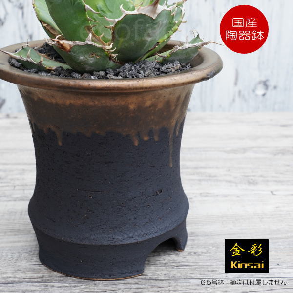 かっこいい 陶器鉢 植木鉢 6.5号 底穴あり サナなし 金彩高脚 ブラック おしゃれ プランター 園芸鉢 信楽焼 かみ山陶器 観葉植物 アガベ サボテン ビザールプランツ 塊根植物 コーデックス 多肉植物 ポット