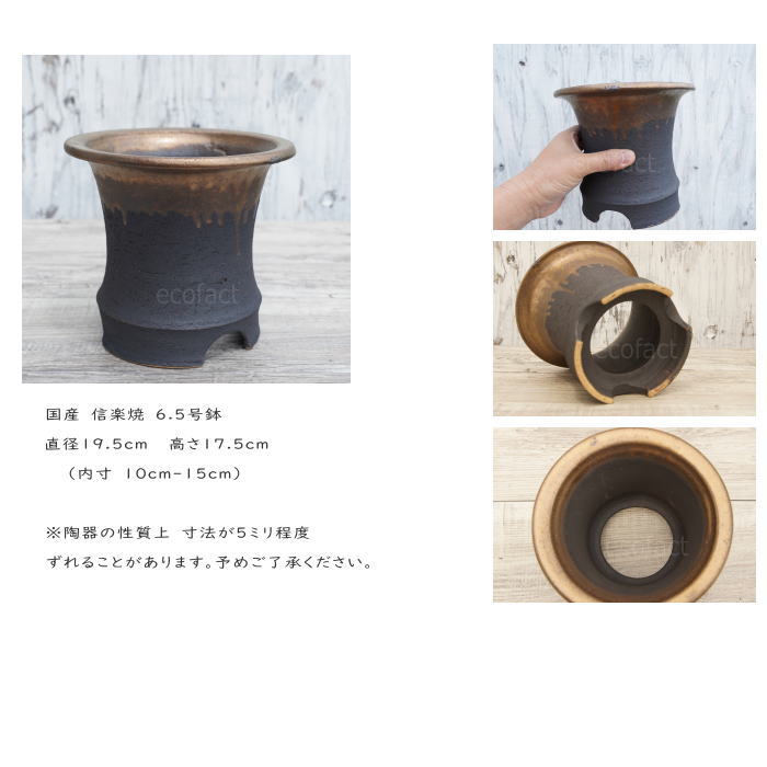 かっこいい 陶器鉢 植木鉢 6.5号 底穴あり サナなし 金彩高脚 ブラック おしゃれ プランター 園芸鉢 信楽焼 かみ山陶器 観葉植物 アガベ サボテン ビザールプランツ 塊根植物 コーデックス 多肉植物 ポット