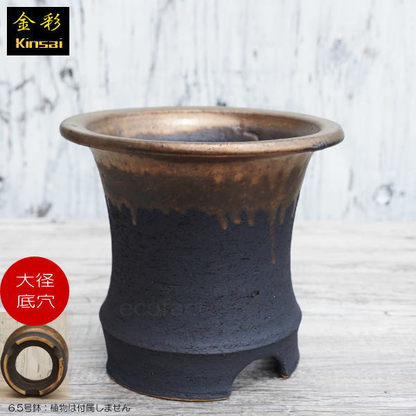かっこいい 陶器鉢 植木鉢 6.5号 底穴あり サナなし 金彩高脚 ブラック おしゃれ プランター 園芸鉢 信楽焼 かみ山陶器 観葉植物 アガベ サボテン ビザールプランツ 塊根植物 コーデックス 多肉植物 ポット