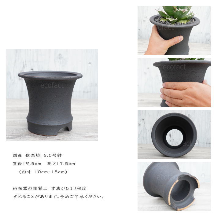 かっこいい 陶器鉢 植木鉢 6.5号 底穴あり サナなし 艶消黒高脚 ブラック おしゃれ プランター 園芸鉢 信楽焼 かみ山陶器 観葉植物 アガベ サボテン ビザールプランツ 塊根植物 コーデックス 多肉植物 ポット