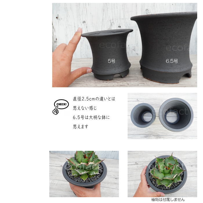 かっこいい 陶器鉢 植木鉢 6.5号 底穴あり サナなし 艶消黒高脚 ブラック おしゃれ プランター 園芸鉢 信楽焼 かみ山陶器 観葉植物 アガベ サボテン ビザールプランツ 塊根植物 コーデックス 多肉植物 ポット