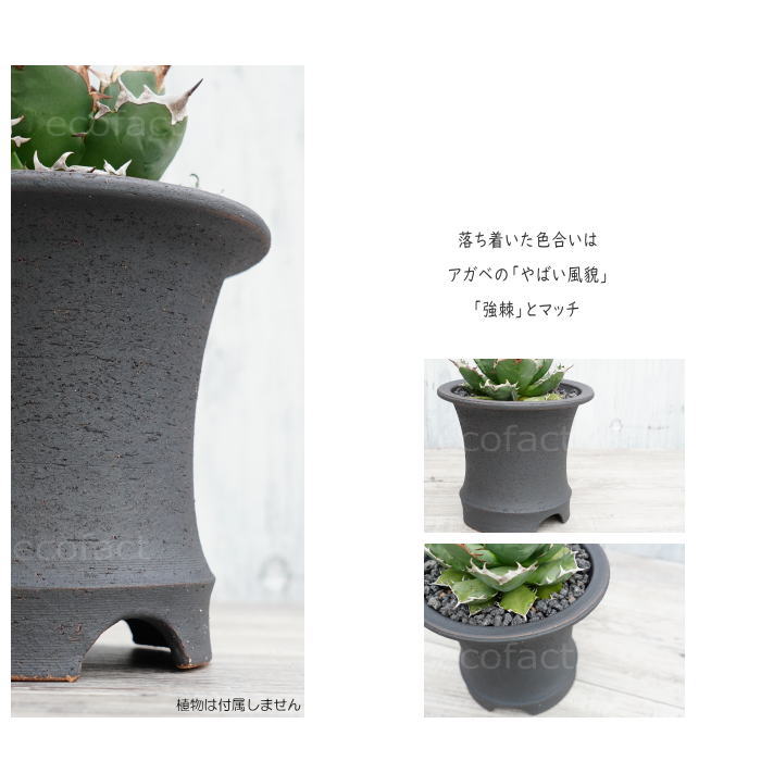 かっこいい 陶器鉢 植木鉢 6.5号 底穴あり サナなし 艶消黒高脚 ブラック おしゃれ プランター 園芸鉢 信楽焼 かみ山陶器 観葉植物 アガベ サボテン ビザールプランツ 塊根植物 コーデックス 多肉植物 ポット
