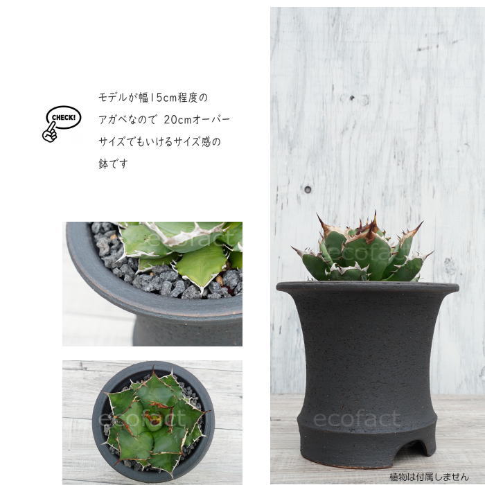 かっこいい 陶器鉢 植木鉢 6.5号 底穴あり サナなし 艶消黒高脚 ブラック おしゃれ プランター 園芸鉢 信楽焼 かみ山陶器 観葉植物 アガベ サボテン ビザールプランツ 塊根植物 コーデックス 多肉植物 ポット