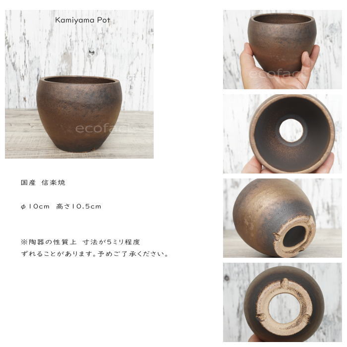 陶器鉢 植木鉢 小鉢 底穴あり MATPOT マットポットS シャビーゴールド φ10cm おしゃれ プランター 園芸鉢 信楽焼(しがらきやき)かみ山陶器 コーデックス 塊根植物