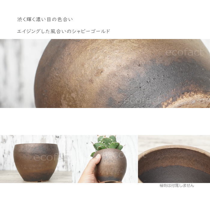 陶器鉢 植木鉢 小鉢 底穴あり MATPOT マットポットS シャビーゴールド φ10cm おしゃれ プランター 園芸鉢 信楽焼(しがらきやき)かみ山陶器 コーデックス 塊根植物