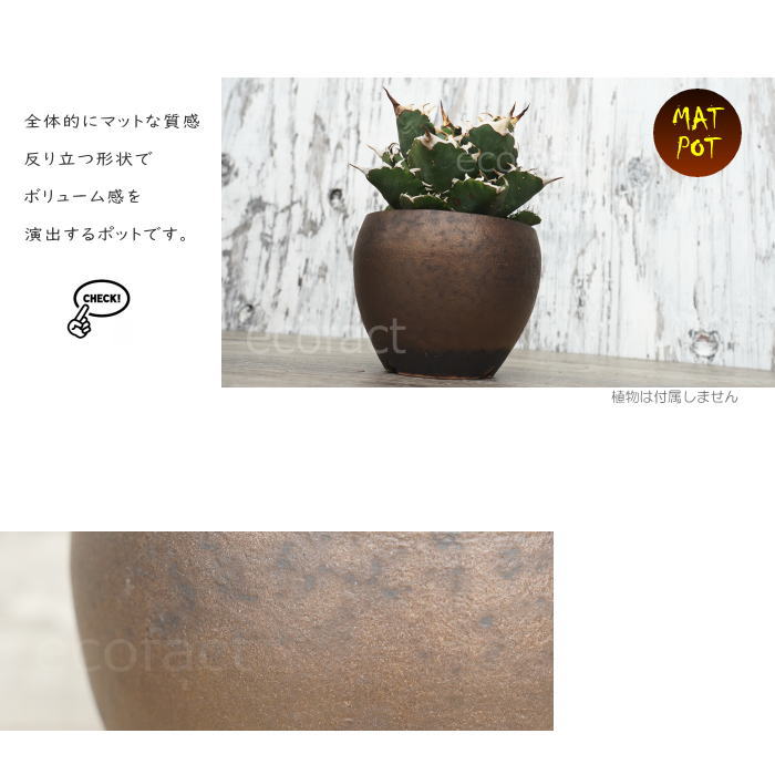 陶器鉢 植木鉢 小鉢 底穴あり MATPOT マットポットS シャビーゴールド φ10cm おしゃれ プランター 園芸鉢 信楽焼(しがらきやき)かみ山陶器 コーデックス 塊根植物