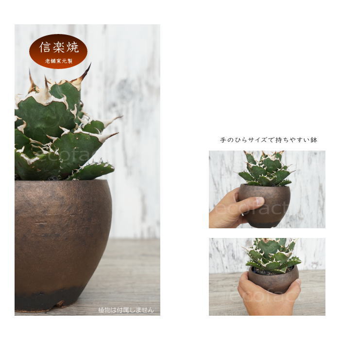 陶器鉢 植木鉢 小鉢 底穴あり MATPOT マットポットS シャビーゴールド φ10cm おしゃれ プランター 園芸鉢 信楽焼(しがらきやき)かみ山陶器 コーデックス 塊根植物