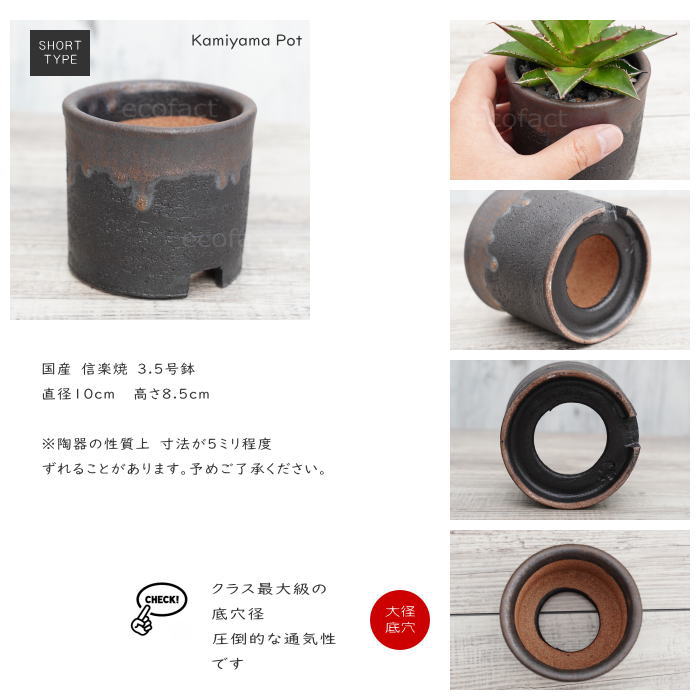 陶器鉢 植木鉢 3.5号ショートタイプ 筒型 金彩 ゴールド/ブラック おしゃれ プランター 園芸鉢 かみ山陶器 信楽焼 観葉植物 アガベ サボテン ビザールプランツ 塊根植物 コーデックス 多肉植物 ポット