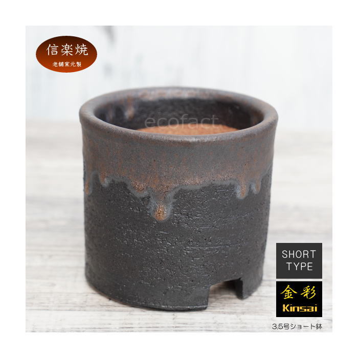 陶器鉢 植木鉢 3.5号ショートタイプ 筒型 金彩 ゴールド/ブラック おしゃれ プランター 園芸鉢 かみ山陶器 信楽焼 観葉植物 アガベ サボテン ビザールプランツ 塊根植物 コーデックス 多肉植物 ポット