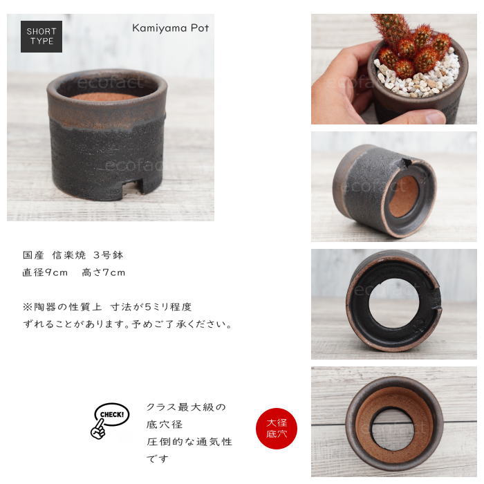 陶器鉢 植木鉢 3号ショートタイプ 筒型 金彩 ゴールド/ブラック おしゃれ プランター 園芸鉢 かみ山陶器 信楽焼 観葉植物 アガベ サボテン ビザールプランツ 塊根植物 コーデックス 多肉植物 ポット