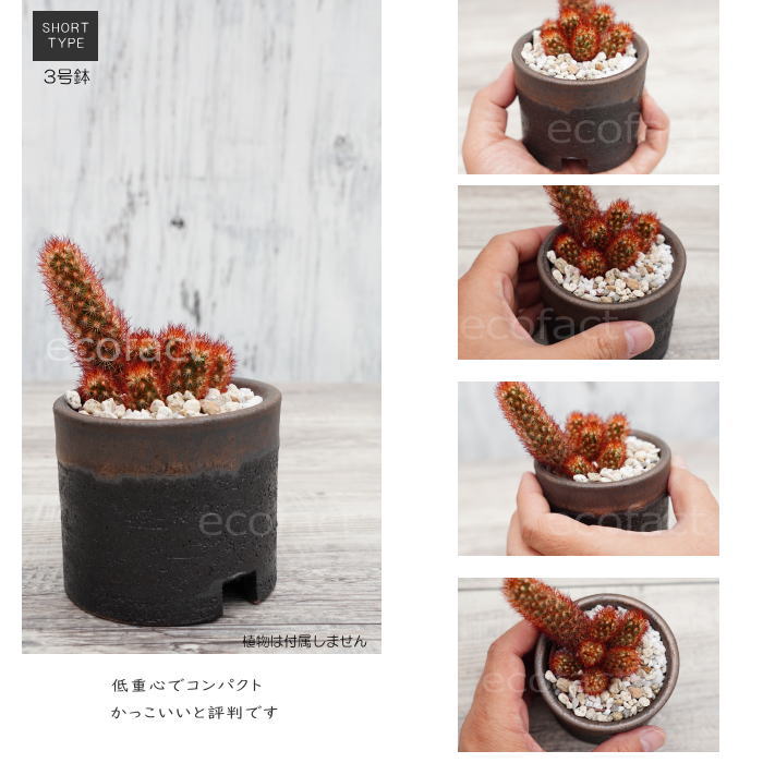 陶器鉢 植木鉢 3号ショートタイプ 筒型 金彩 ゴールド/ブラック おしゃれ プランター 園芸鉢 かみ山陶器 信楽焼 観葉植物 アガベ サボテン ビザールプランツ 塊根植物 コーデックス 多肉植物 ポット